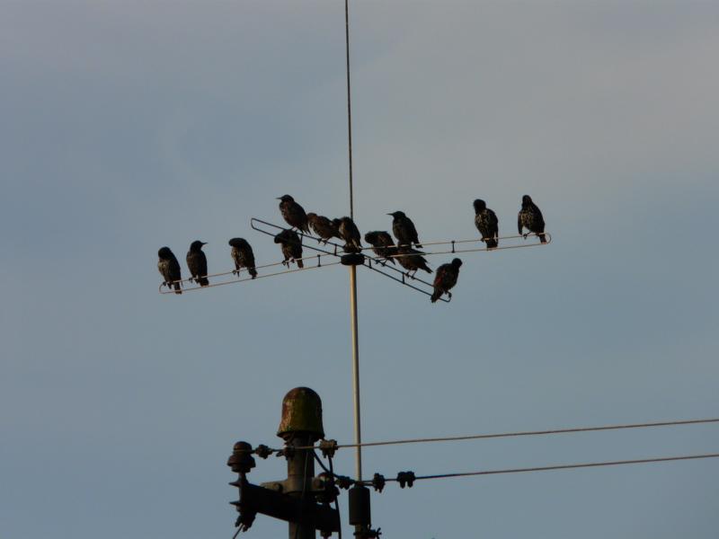 Gabriele Rotter Photoarbeiten