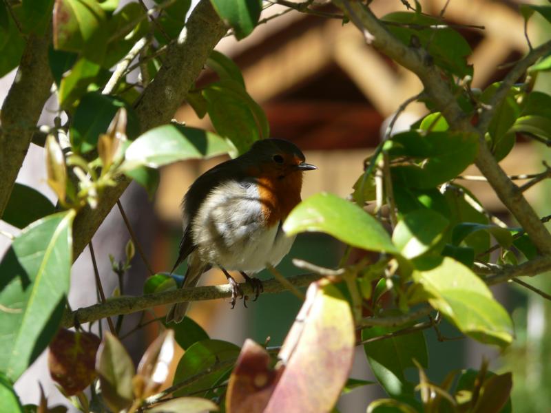 Gabriele Rotter Photoarbeiten
