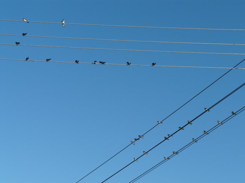 Gabriele Rotter Photoarbeiten