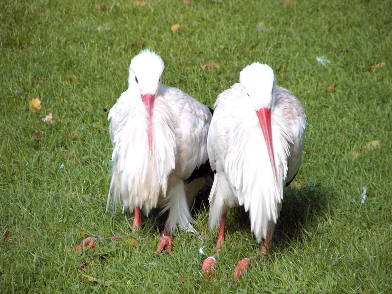 Gabriele Rotter Photoarbeiten