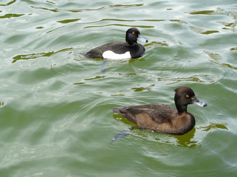 Gabriele Rotter Photoarbeiten