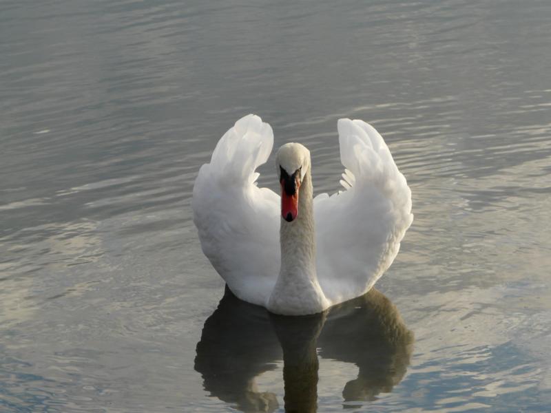 Gabriele Rotter Photoarbeiten