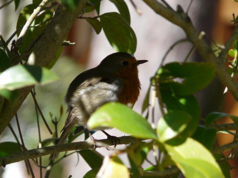 Gabriele Rotter Photoarbeiten
