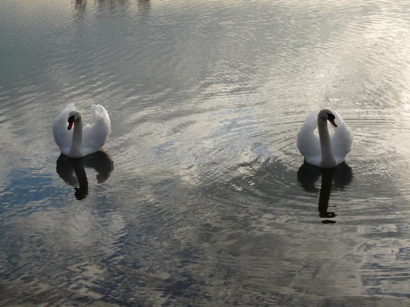 Gabriele Rotter Photoarbeiten